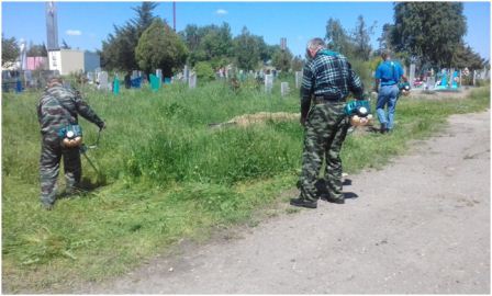 В Ловлинской борются с сорной растительностью