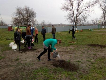 В Тбилисском районе состоялась экологическая акция «Посади дерево»
