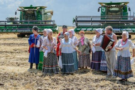 Выступления тбилисских артистов на полях 