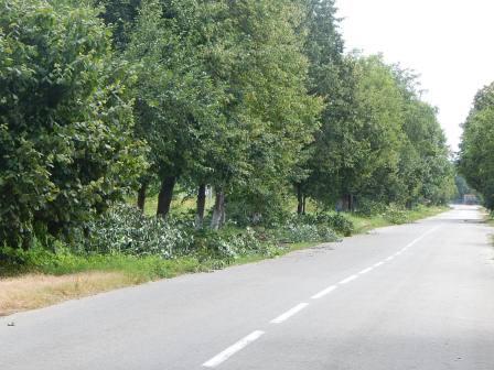 Рабочие будни в Тбилисской