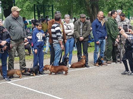 В Тбилисском районе вновь собрались любители собак со всей страны