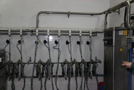 В Тбилисском районе состоялся первый смотр животноводческих ферм