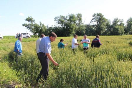Глава Тбилисского района провел смотр культуры земледелия