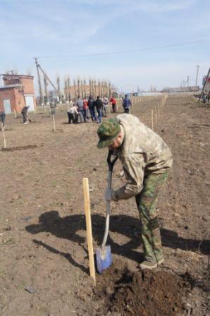 В Тбилисском районе заложили парк в честь 70-летия Победы В Тбилисском районе заложили парк в честь 70-летия Победы