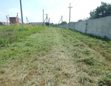 В Тбилисской продолжают скашивать сорную растительность