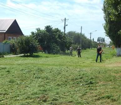 В Тбилисской и Северин продолжают косить траву