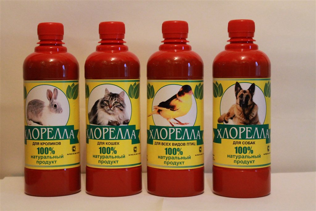 Хлорелла