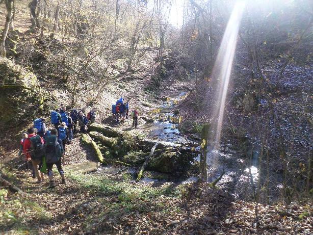 Юные тбилисские туристы вернулись из похода