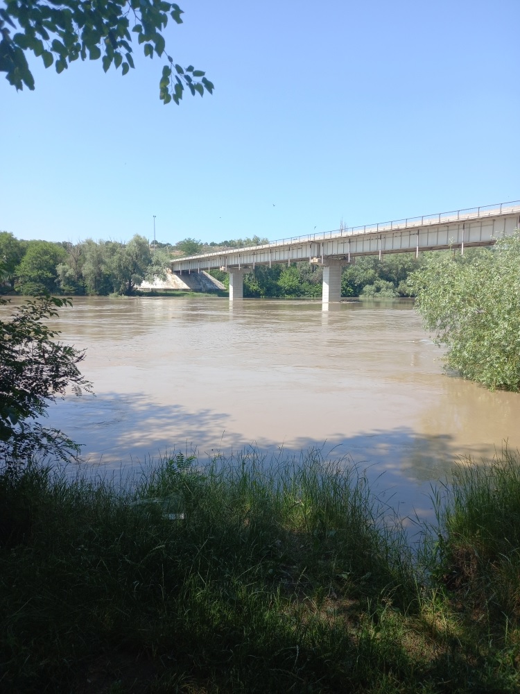 В Тбилисском районе начались рейды по водным объектам В Тбилисском районе начались рейды по водным объектам