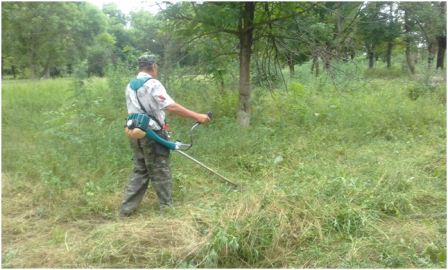 В Ловлинской наводят порядок