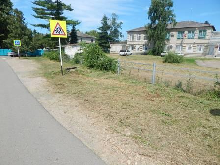 В Тбилисской и Северин продолжают косить траву