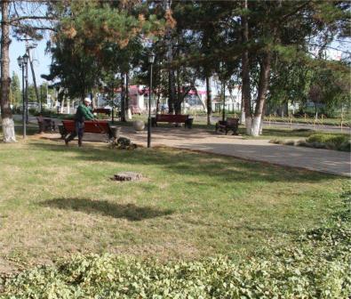 В Тбилисском парке культуры и отдыха имени Симикина провели субботник