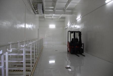 Тбилисский маслосырзавод открыл новый цех