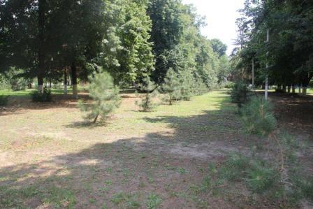 Евгений Ильин совершил объезд станицы Тбилисской