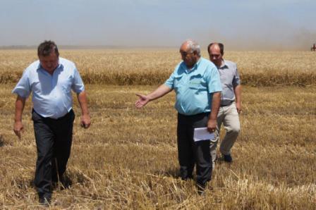 Уборка ячменя