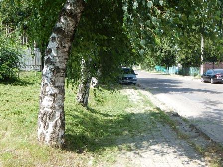 В Тбилисской и Северин продолжают косить траву