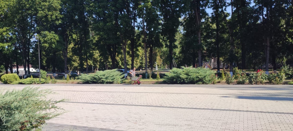 78954.jpg