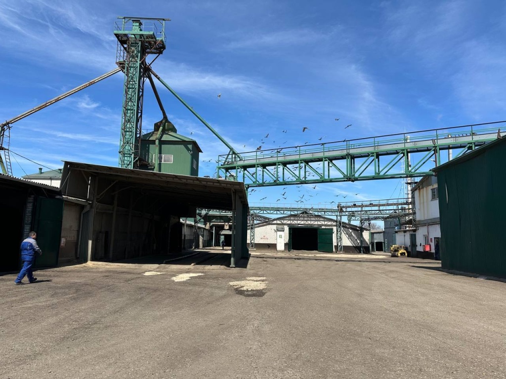 Предприятие из Кавказского района планирует увеличить производство муки и подсолнечного масла Предприятие из Кавказского района планирует увеличить производство муки и подсолнечного масла