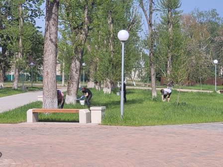 Побелка деревьев в парке ст. Геймановской и на «Аллее Славы»