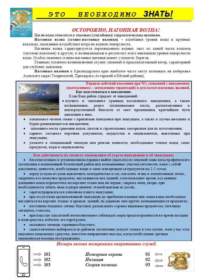 Нагонная волна