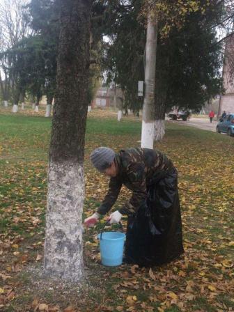 В Тбилисском районе прошел еженедельный субботник