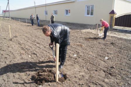 В Тбилисском районе заложили парк в честь 70-летия Победы В Тбилисском районе заложили парк в честь 70-летия Победы
