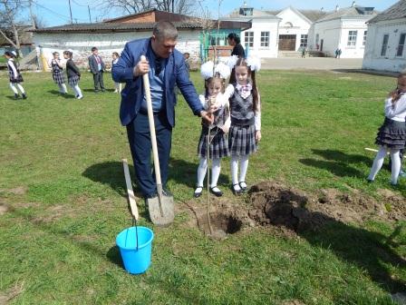 В первой школе станицы Тбилисской высадили более 15 молодых деревьев