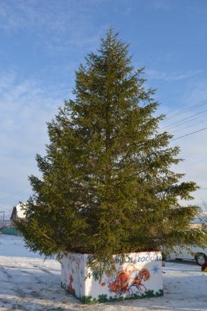 В селе Ванновском установили новогоднюю ель