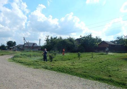 В хуторе Северин на улице Молодежной убрали ветки ивы