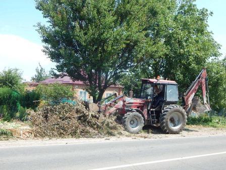 Работы по сбору и вывозу веток 