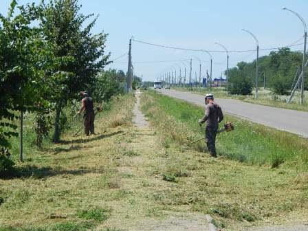 Борьба с сорной растительностью продолжается