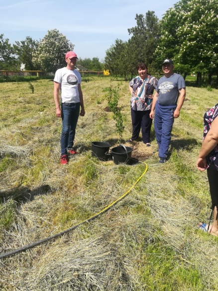 Международная акция Сад Победы