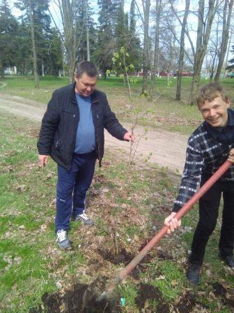 Акция «Посади дерево» Акция «Посади дерево»