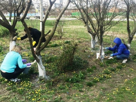 В Тбилисском районе продолжаются субботники В Тбилисском районе продолжаются субботники