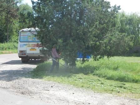 В Тбилисской и Северин продолжают косить траву