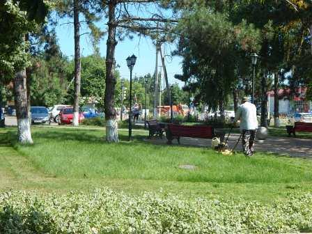 В Тбилисской и Северин продолжают косить траву