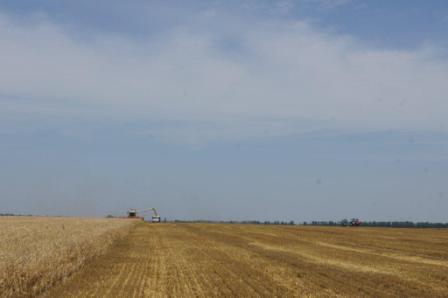 Уборка ячменя