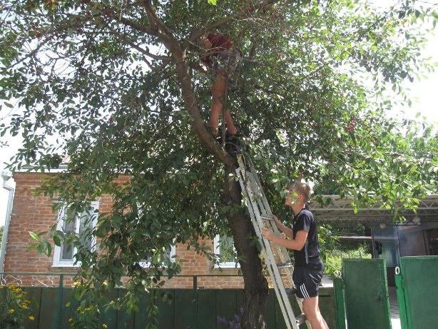 Новые тимуровцы продолжают свою работу