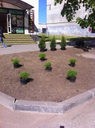 Тбилисский район принял участие во Всероссийском субботнике «Зеленая Россия»