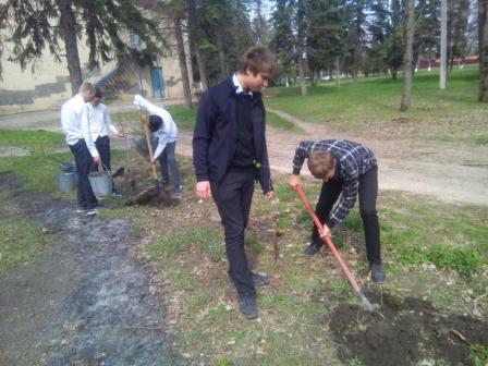 В Тбилисском районе состоялась экологическая акция «Посади дерево»