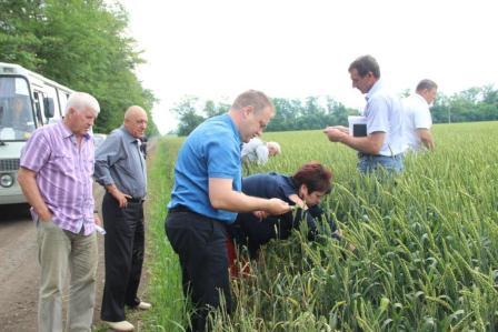 Глава Тбилисского района провел смотр культуры земледелия