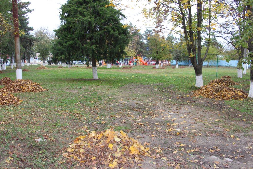 однокл (2).jpg