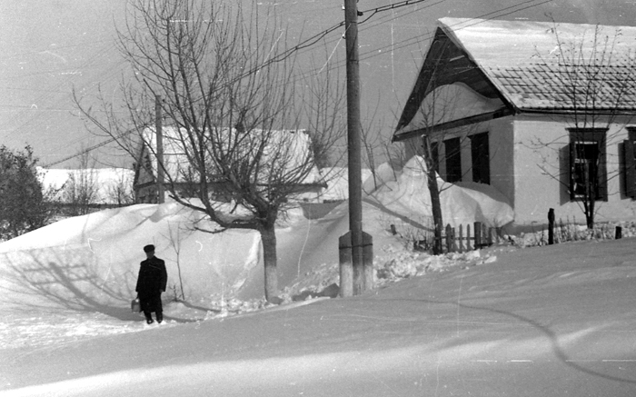 Морозная зима в ст.Тбилисской 1953-1954 годов