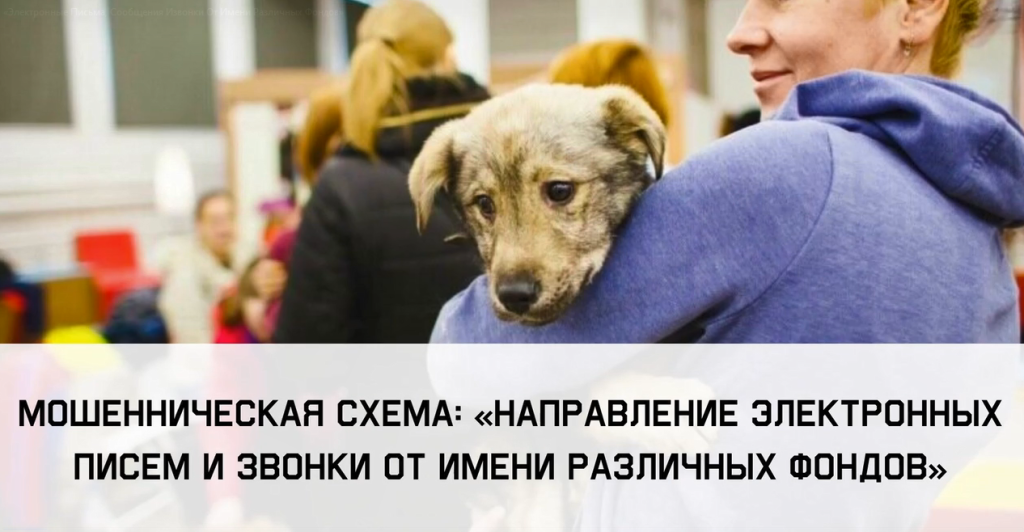 Направление электронных писем, сообщений и звонки от имени различных фондов