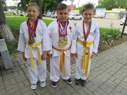 Открытый турнир по тхэквондо