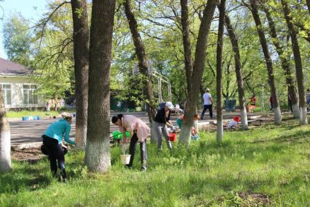Тбилисский район принял участие во Всероссийском субботнике «Зеленая Россия»