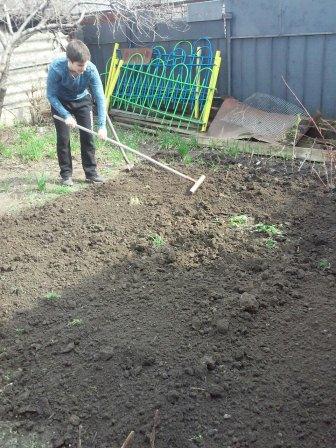 Волонтеры из Тбилисской помогают пенсионерам
