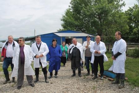 В Тбилисском районе состоялся первый смотр животноводческих ферм