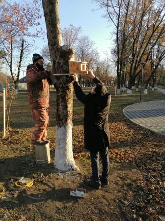 Установили кормушки для белок и птиц