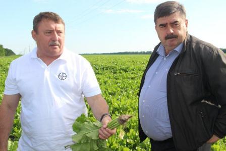 Глава Тбилисского района провел смотр культуры земледелия